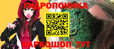 молекула духа Донской