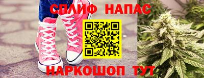 молекула духа Донской