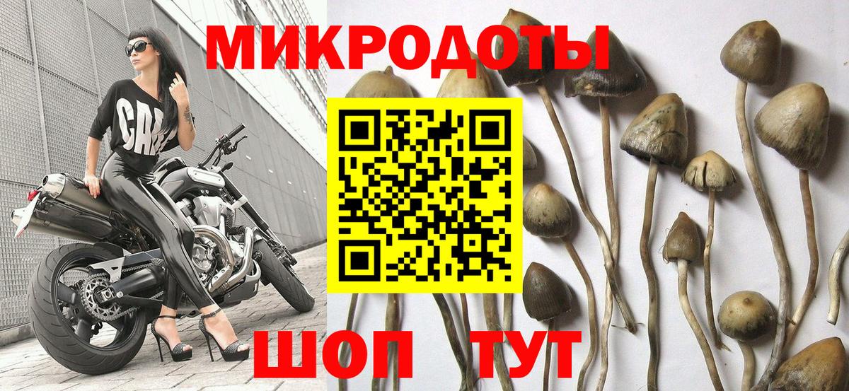 Галлюциногенные грибы мухоморы Нижнекамск