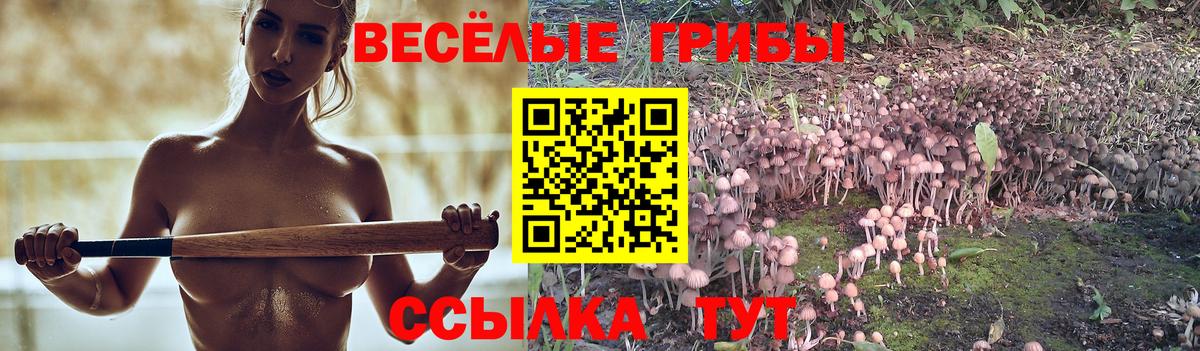 Нижнекамск  Псилоцибиновые грибы MAGIC MUSHROOMS  Вход с VPN 